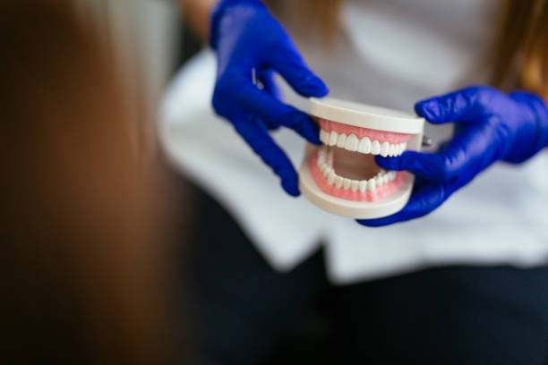 Trusted Freedom, CA  Holistic Dental Services Experts